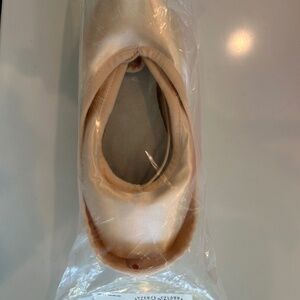 Ballet Pointe Shoe